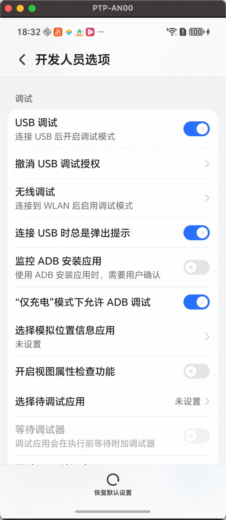開發者選項與 USB 除錯
