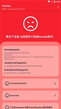Hunter 掃描報告紅項示意