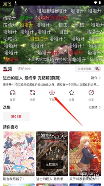 播放頁與彈幕面板