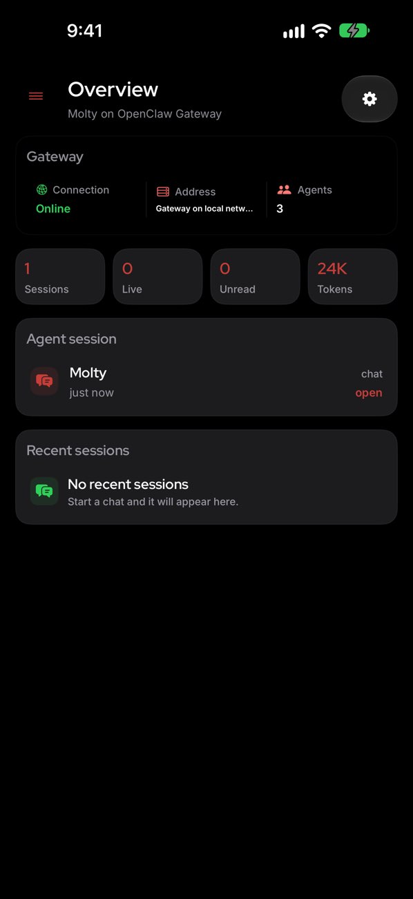 openclawapp 应用概览界面